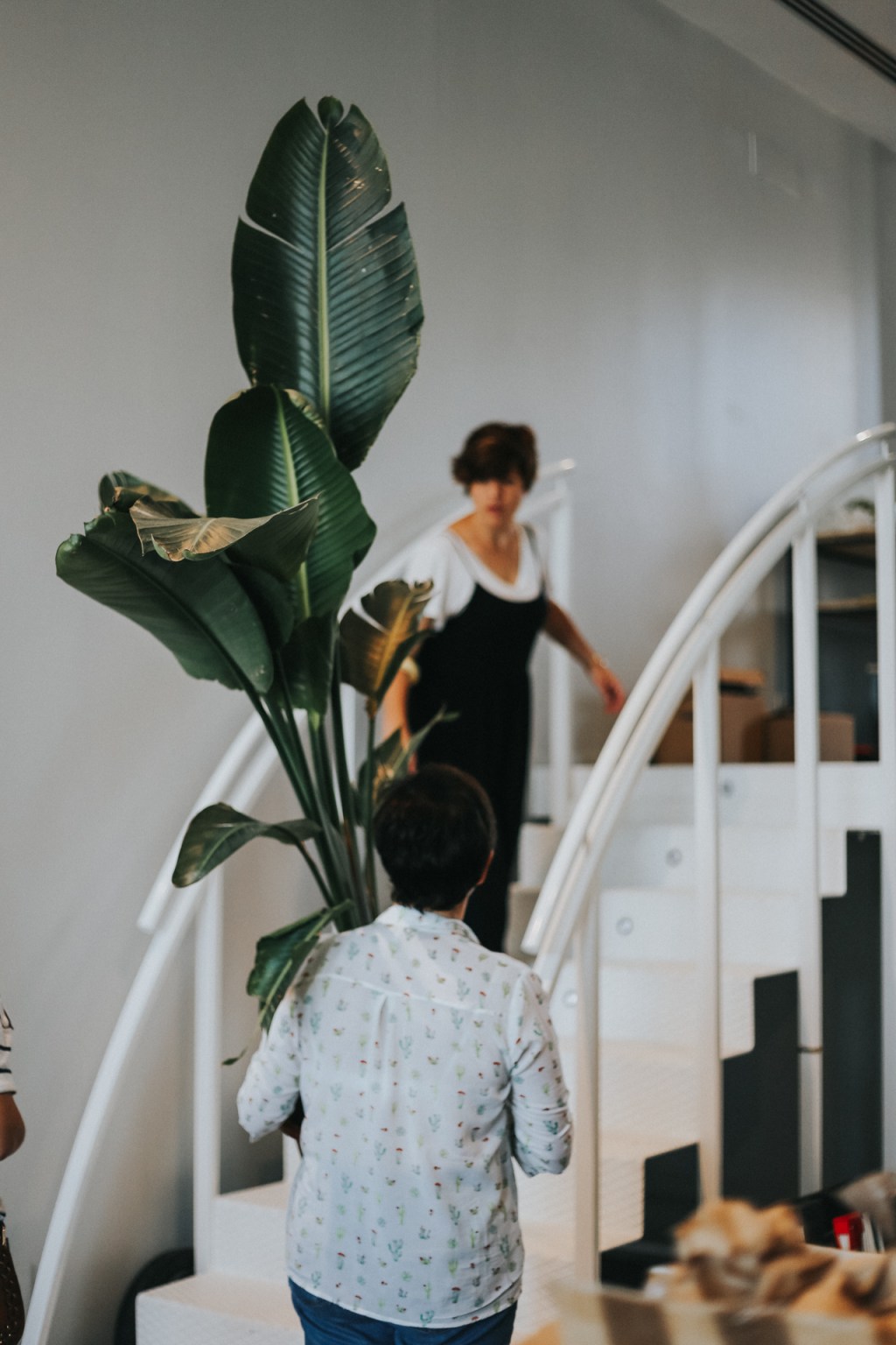 ESPACIO ABIERTO 2017